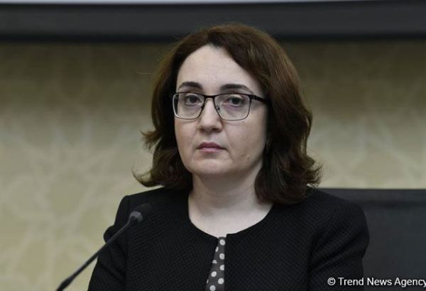 Azerbaijani State Civil Aviation Agency discloses number of passengers transported via charter flights