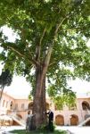 Azerbaijani president, first lady attend opening of Shah Abbas and Ughurlu Khan caravanserai complex in Ganja after restoration (PHOTO)