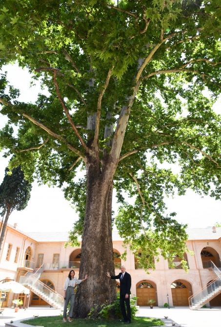 Azerbaijani president, first lady attend opening of Shah Abbas and Ughurlu Khan caravanserai complex in Ganja after restoration (PHOTO)