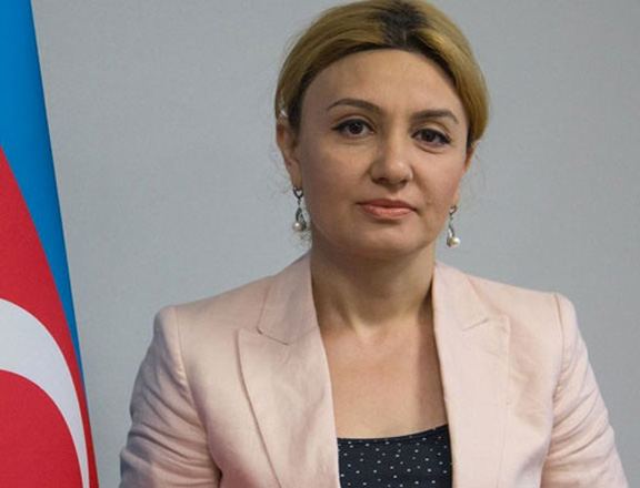 Azerbaijani ministry of energy discloses volume of gas supplied via TANAP to Turkey