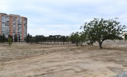 Azerbaijani president, first VP view works to be done in new forest type park in Yasamal district (PHOTO)