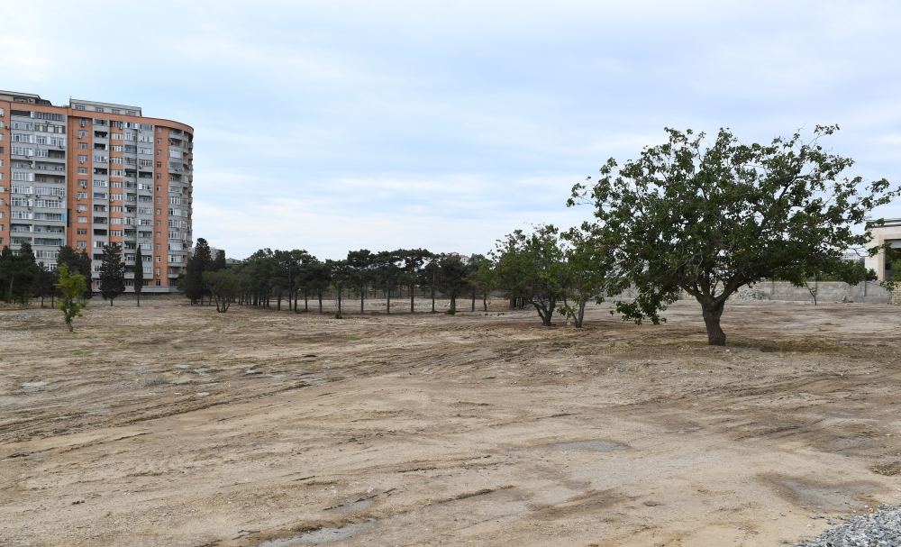 Azerbaijani president, first VP view works to be done in new forest type park in Yasamal district (PHOTO)