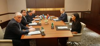 Azerbaijani high-rank officials hold meeting with Serbian Deputy PM (PHOTO)