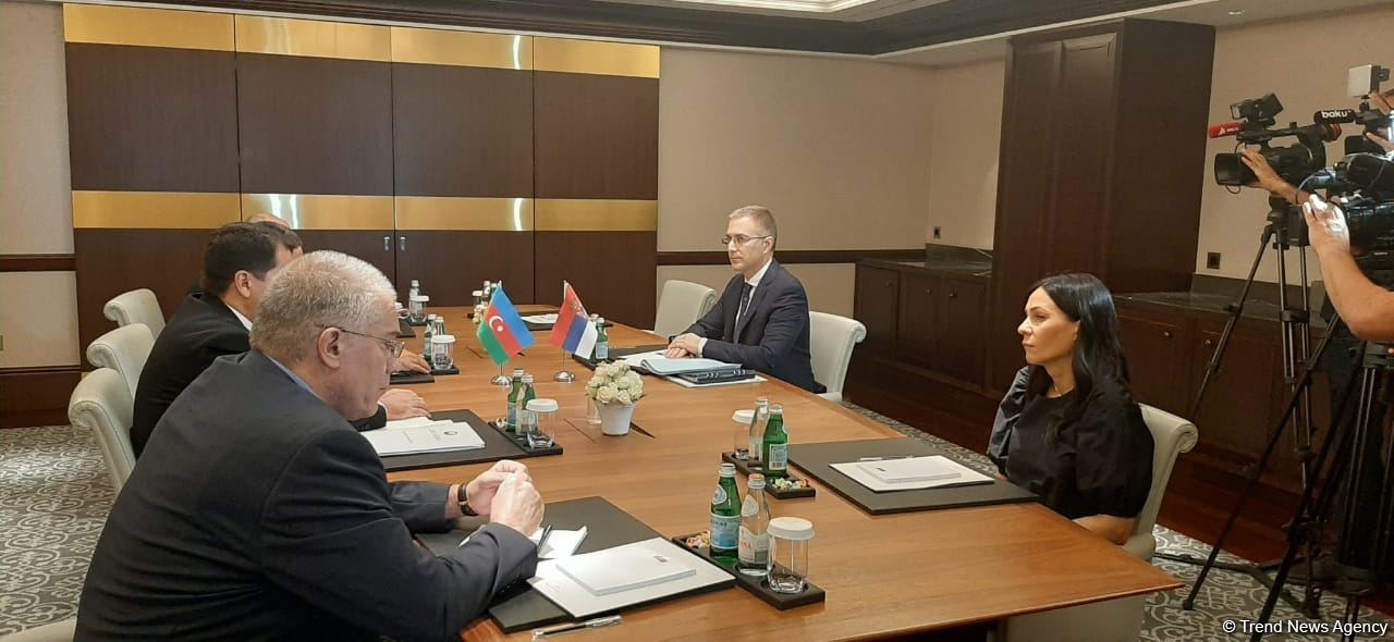 Azerbaijani high-rank officials hold meeting with Serbian Deputy PM (PHOTO)