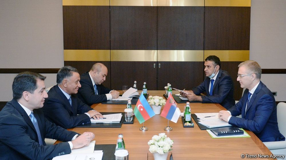 Azerbaijani high-rank officials hold meeting with Serbian Deputy PM (PHOTO)