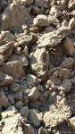 Armenian armed forces once again subject Gazakhlar village of Fizuli district to missile fire (PHOTO)