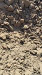 Armenian armed forces once again subject Gazakhlar village of Fizuli district to missile fire (PHOTO)
