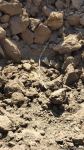 Armenian armed forces once again subject Gazakhlar village of Fizuli district to missile fire (PHOTO)
