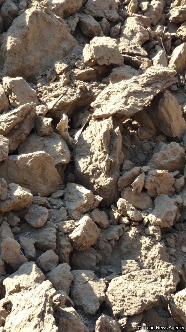 Armenian armed forces once again subject Gazakhlar village of Fizuli district to missile fire (PHOTO)