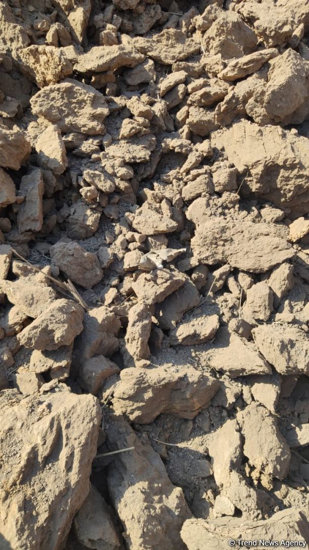 Armenian armed forces once again subject Gazakhlar village of Fizuli district to missile fire (PHOTO)