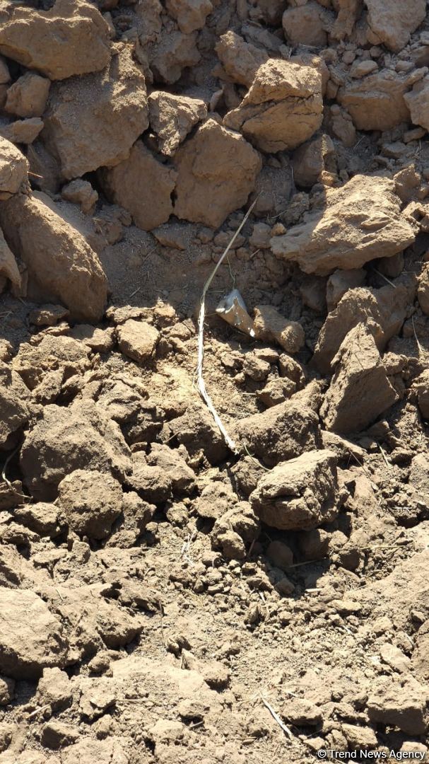 Armenian armed forces once again subject Gazakhlar village of Fizuli district to missile fire (PHOTO)