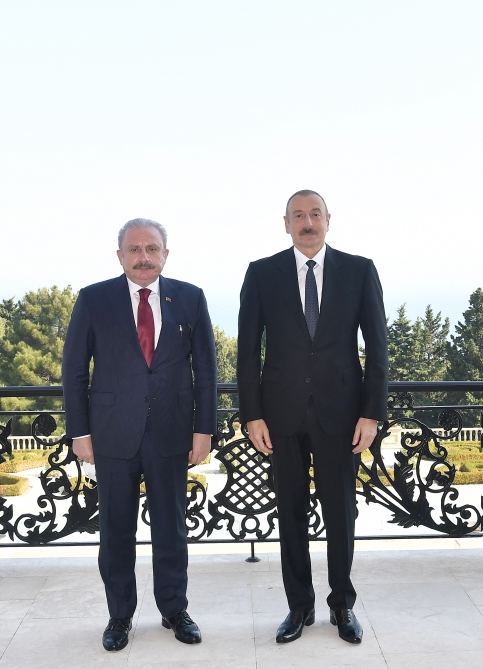 Azerbaijani president receives delegation led by speaker of National Assembly of Turkey (PHOTO)