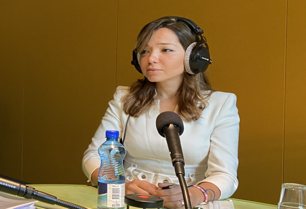 Ambassador talks illegal use of Azerbaijan's gold mines by Swiss citizen of Armenian descent