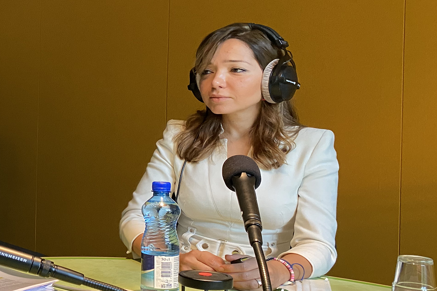 Ambassador talks illegal use of Azerbaijan's gold mines by Swiss citizen of Armenian descent