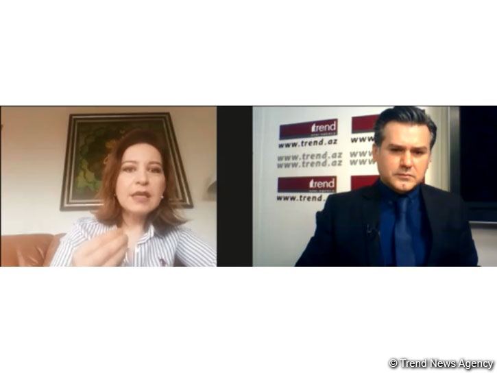 Experts talk West's double standards towards Azerbaijan, Turkey via teleconference by Trend News Agency (VIDEO)