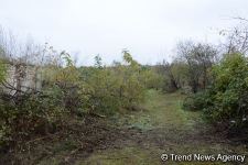 No building left intact in Azerbaijan's Fuzuli, liberated from Armenia's occupation (PHOTO)