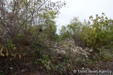 No building left intact in Azerbaijan's Fuzuli, liberated from Armenia's occupation (PHOTO)