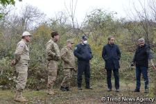 No building left intact in Azerbaijan's Fuzuli, liberated from Armenia's occupation (PHOTO)
