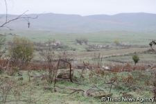 No building left intact in Azerbaijan's Fuzuli, liberated from Armenia's occupation (PHOTO)