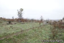 No building left intact in Azerbaijan's Fuzuli, liberated from Armenia's occupation (PHOTO)