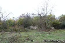 No building left intact in Azerbaijan's Fuzuli, liberated from Armenia's occupation (PHOTO)