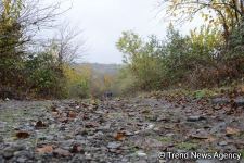 No building left intact in Azerbaijan's Fuzuli, liberated from Armenia's occupation (PHOTO)