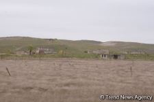No building left intact in Azerbaijan's Fuzuli, liberated from Armenia's occupation (PHOTO)