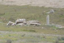 Armenians completely destroy cemetery in Fuzuli district (PHOTO)