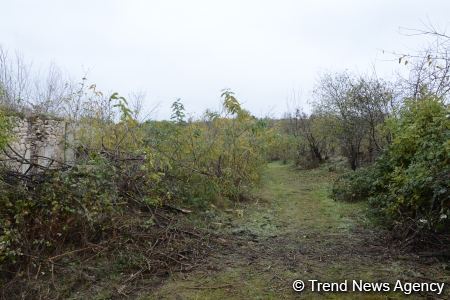 No building left intact in Azerbaijan's Fuzuli, liberated from Armenia's occupation (PHOTO)