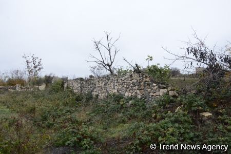 No building left intact in Azerbaijan's Fuzuli, liberated from Armenia's occupation (PHOTO)