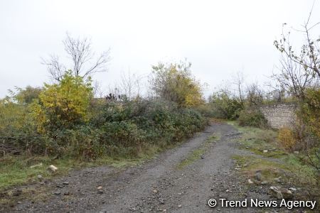 No building left intact in Azerbaijan's Fuzuli, liberated from Armenia's occupation (PHOTO)