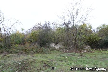 No building left intact in Azerbaijan's Fuzuli, liberated from Armenia's occupation (PHOTO)