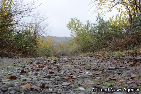 No building left intact in Azerbaijan's Fuzuli, liberated from Armenia's occupation (PHOTO)