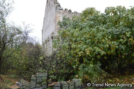No building left intact in Azerbaijan's Fuzuli, liberated from Armenia's occupation (PHOTO)