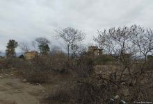 Azerbaijan issues photos from liberated Aghdam city