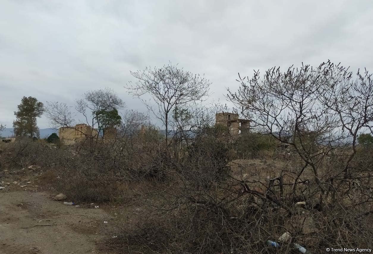 Azerbaijan issues photos from liberated Aghdam city