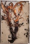 PASTPRESENTFUTURE solo-show of Azerbaijani Aida Mahmudova presented in New York (PHOTO)