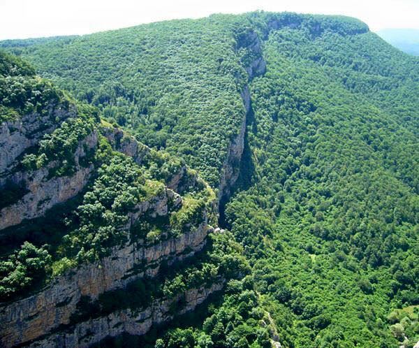 Rehabilitation centers can be established in Azerbaijan's liberated lands - Agency