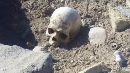 Diplomats accredited in Azerbaijan view cemetery destroyed by Armenians in Jabrayil - Trend TV (PHOTO/VIDEO)