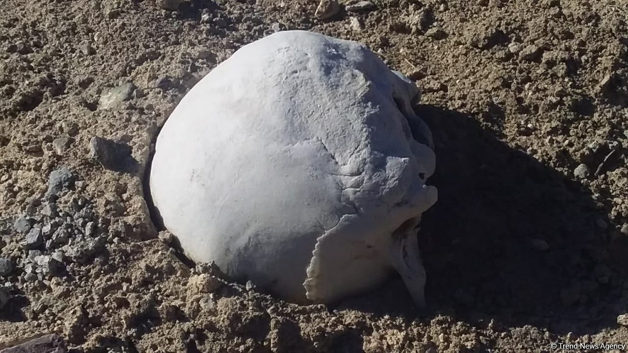 Diplomats accredited in Azerbaijan view cemetery destroyed by Armenians in Jabrayil - Trend TV (PHOTO/VIDEO)
