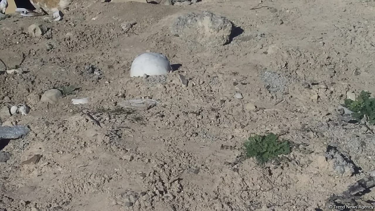Diplomats accredited in Azerbaijan view cemetery destroyed by Armenians in Jabrayil - Trend TV (PHOTO/VIDEO)