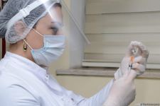 COVID-19 vaccination of police officers starts in Azerbaijan - Trend TV reports (PHOTO)