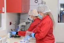 Azerbaijan begins vaccination of military personnel - Trend TV reports (PHOTO)