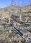 Footage from Saralli Khashtab village of Azerbaijani Zangilan district, subjected to Armenian vandalism (PHOTO)