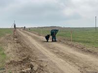 Azerbaijani agency talks demined section of Fuzuli-Shusha road (PHOTO)