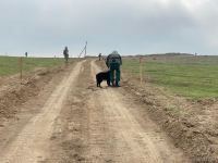 Azerbaijani agency talks demined section of Fuzuli-Shusha road (PHOTO)