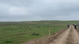 Azerbaijani agency talks demined section of Fuzuli-Shusha road (PHOTO)
