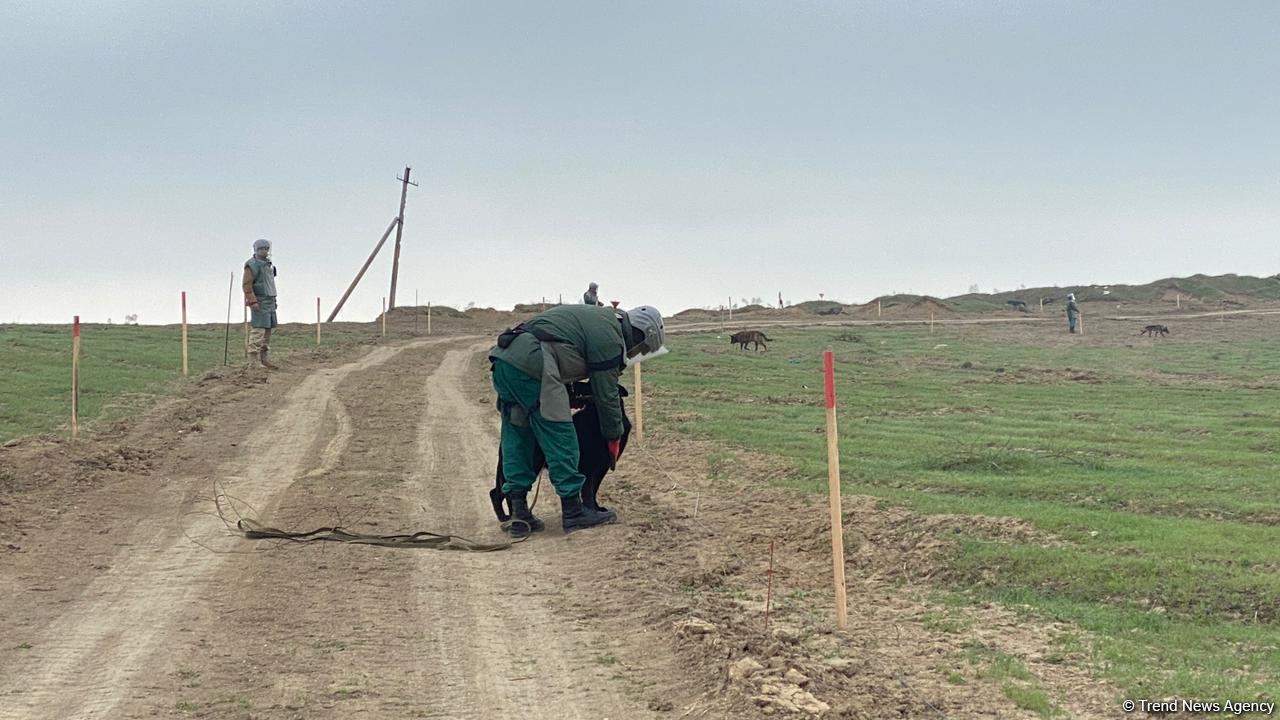 Azerbaijani agency talks demined section of Fuzuli-Shusha road (PHOTO)