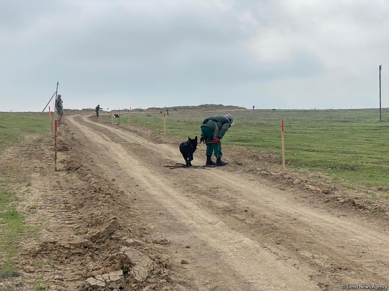 Azerbaijani agency talks demined section of Fuzuli-Shusha road (PHOTO)