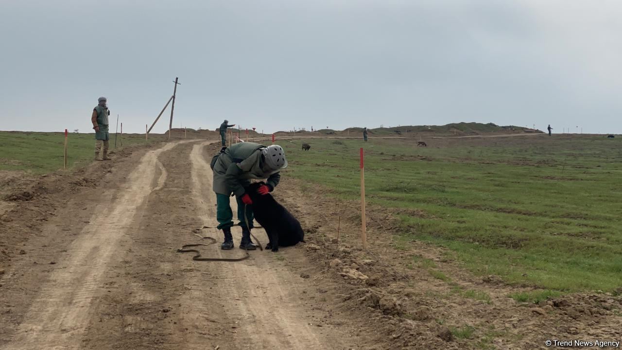 Azerbaijani agency talks demined section of Fuzuli-Shusha road (PHOTO)